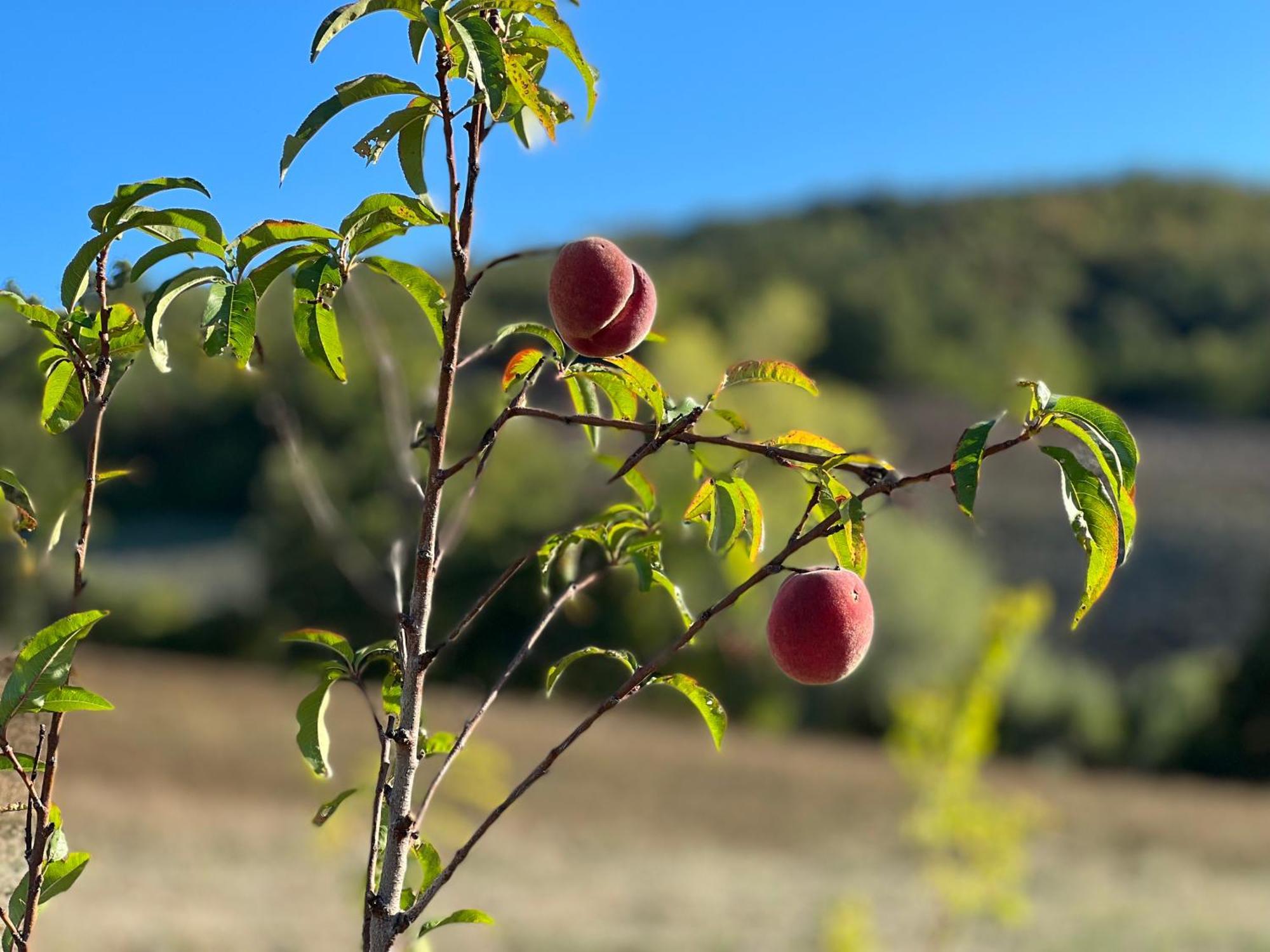 Agriturismo Prato Del Re Prignano sulla Secchia Luaran gambar