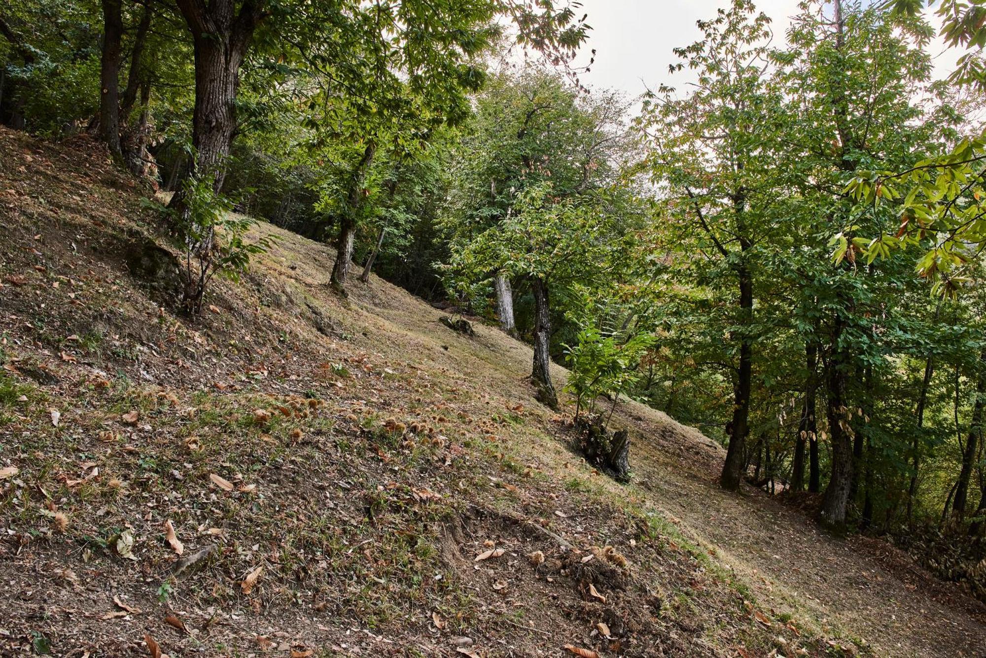 Agriturismo Prato Del Re Prignano sulla Secchia Luaran gambar
